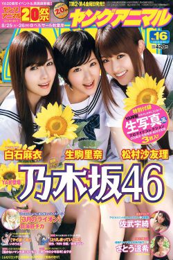 电视剧传奇大掌柜